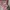 Minimalist Wanita pink photo 4