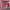 Casual Makeup bag Wanita pink photo 1