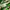 Puma Casual Polo shirt Pria white green photo 4