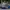 adidas campus 00s photo 1