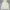 WHO.A.U Casual Hoody Pria cream photo 1