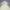 WHO.A.U Casual Hoody Pria cream photo 2