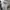 Streetwear Casual Hoody Pria gray photo 6