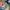 nike tn 3 photo 1