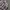 Levi's Casual Casual shirt Pria multicolor photo 3
