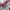 Levi's Casual Casual shirt Pria multicolor photo 4