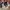 New Balance Running Course insole 275/280 photo 3