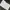 642 Tiny Things To Write About photo 2