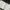 642 Tiny Things To Write About photo 5