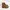 Dr. Martens Indie Casual Boots Pria tan brown photo 1