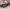 Adidas Sportswear Casual Sneakers Pria black photo 3