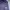 Adidas Sportswear Sweatpants & Joggers Wanita multicolor photo 2