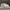 Nike Casual Sneakers Pria white photo 1