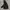 The North Face Gorpcore Puffer jacket Pria black photo 1