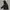 The North Face Gorpcore Puffer Jacket Pria Black