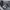The North Face Gorpcore Puffer jacket Pria black photo 7