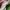 New Balance Streetwear Sneakers Pria white gray photo 2