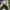 New Balance Streetwear Sneakers Pria white gray photo 3