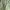 (Reserved) Squady Japan Army Fatigue Pants photo 3