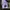 (Reserved) Squady Japan Army Fatigue Pants photo 6