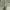 (Reserved) Squady Japan Army Fatigue Pants photo 4