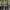 (Reserved) Squady Japan Army Fatigue Pants photo 7