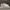 Nike Streetwear Casual Sneakers Pria white photo 1