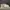 Nike Streetwear Casual Sneakers Pria White