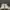 Nike Streetwear Casual Sneakers Pria White