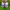 Adidas Casual Sneakers Pria purple photo 3