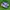 Adidas Casual Sneakers Pria Purple