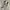 Adidas Casual Sneakers Pria white cream photo 2