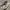 Adidas Casual Sneakers Pria white cream photo 1