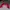 Puma Speed Cat OG photo 2