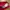 Bershka Red Cropped Fitted Tank Crop Top photo 5