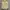 Vintage Casual Polo shirt Pria gold yellow photo 1