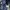 Tommy Hilfiger Vintage Y2K Short Pria navy blue photo 5