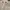 Dior Luxury Casual Formal shirt Pria white photo 3