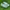 Adidas Casual Sneakers Pria green photo 1
