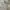 Vintage Y2K Casual shirt Pria white gray photo 4