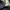 Dickies Casual Casual pants Pria navy photo 2