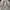 Vintage Y2K T-shirt Pria khaki gray photo 4