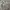 Vintage Y2K T-shirt Pria khaki gray photo 2