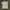 Vintage Y2K T-shirt Pria khaki gray photo 1