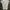 Tsumori Chisato Luxury Avant Garde T-shirt Pria gold white photo 1
