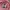 Bandai Apparel Crop Top, Pink. photo 5