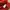 Kangol Streetwear Sportswear T-shirt Pria white red photo 5