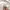 Adidas Streetwear Hoody Pria white photo 3