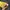 Dunlop Vintage Bomber jacket Pria black yellow photo 3