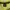 Stussy Y2K Hoody Pria yellow photo 3